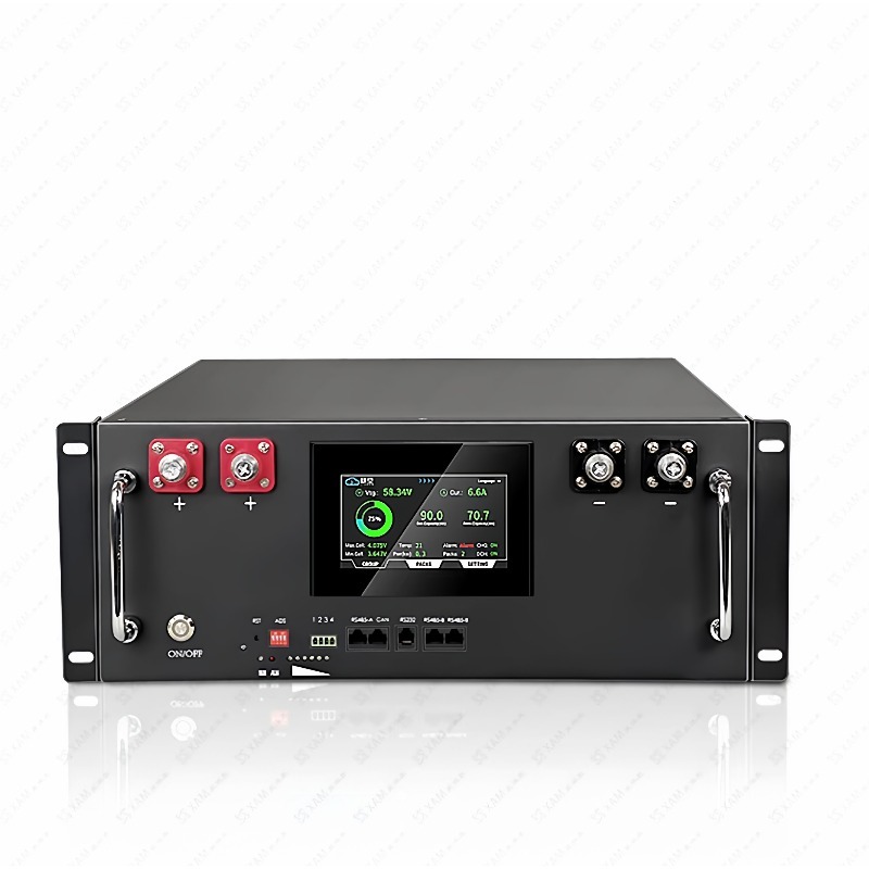 51.2V 100AH LiFePO4 batteria a - Energy Storage Rack recensione e prezzo